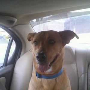 Meet your Posher, Ryan